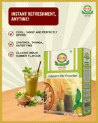 PCM Masale Jaljeera Mix Powder